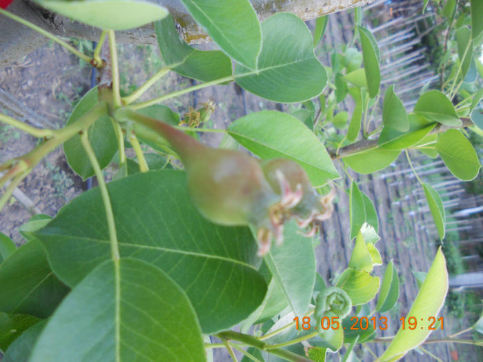 DSCN3206