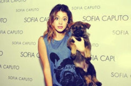 88530301_NJEVNDQ3 - MARTINA STOESSEL