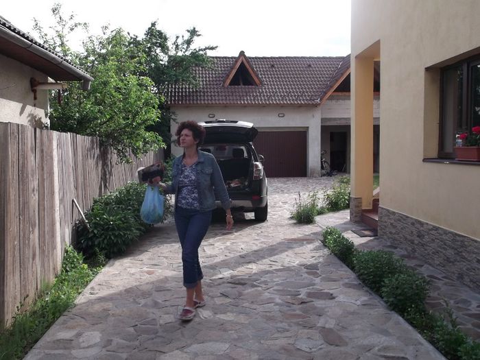 Picture 044 - FERMA ANDRE  SI  NIK PUIUT