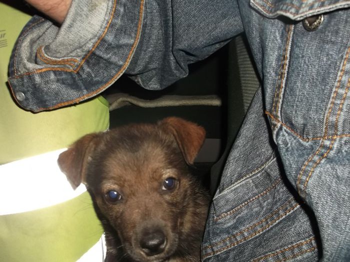 SUNT DE BUZUNAR, DAR.....