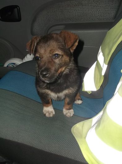 ...............STAU SI PE SCAUN