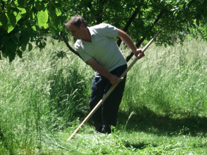 SI CE DACA-I DUMINICA, A IESIT SI POPA