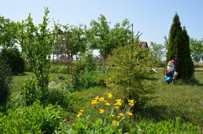 DSC_0482 - Mai 2013