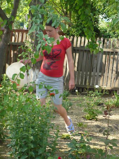 Picture 010