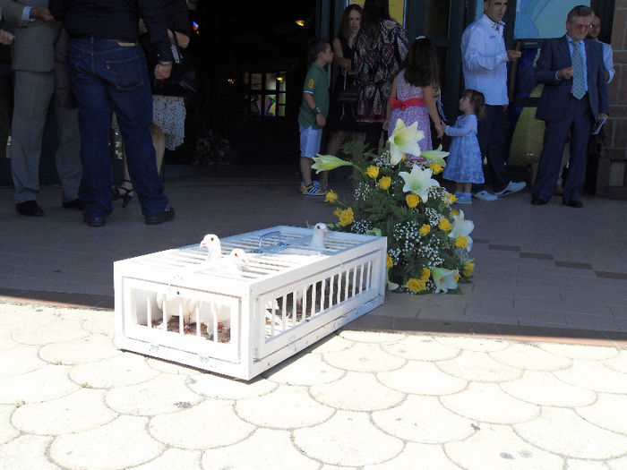 SDC10089; colombi bianchi
