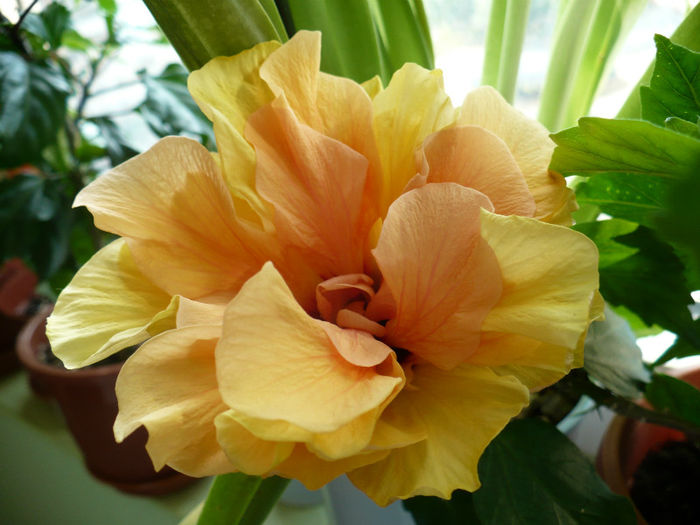 P1430934