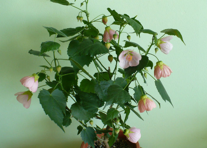 P1430937