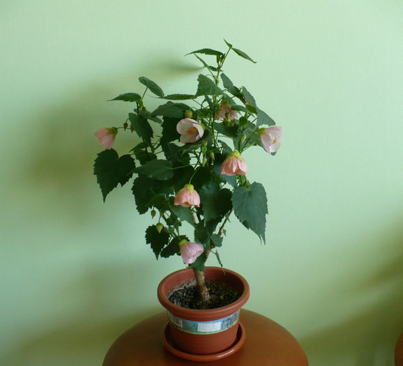 P1430939