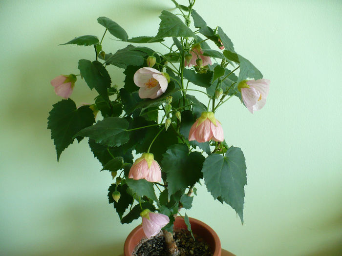 P1430940