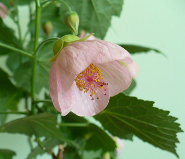 P1430941