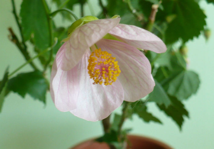 P1430942