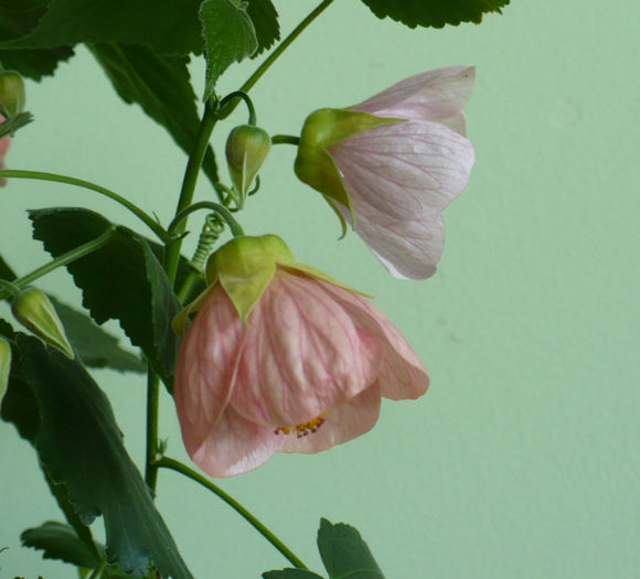 P1430943