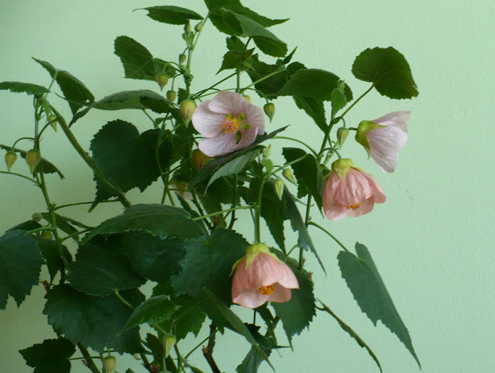 P1430944