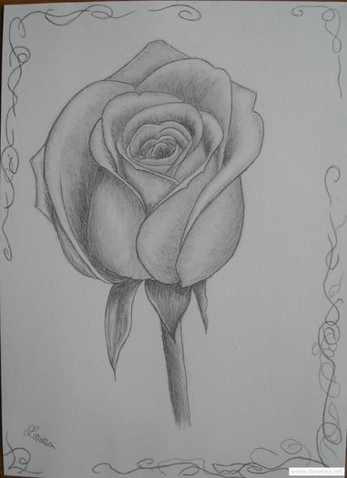Desene in creion cu flori - deeascumpik
