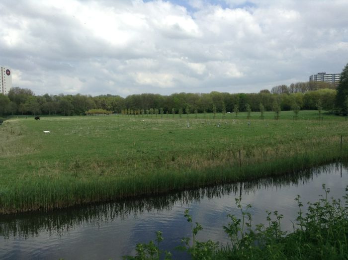 image - In livada cu meri