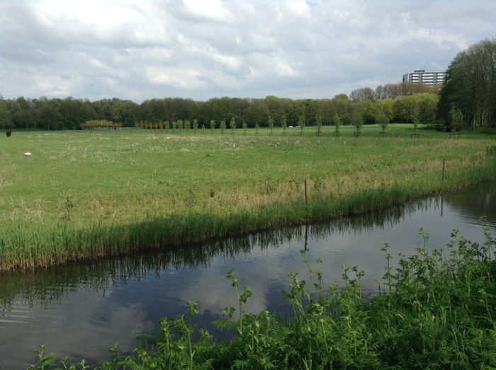 image - In livada cu meri