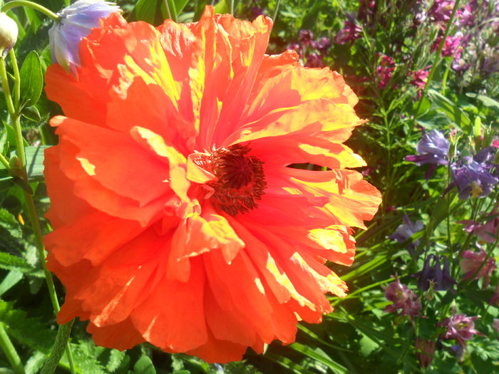 mac batut portocaliu