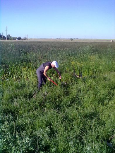 mini delta de langa casa