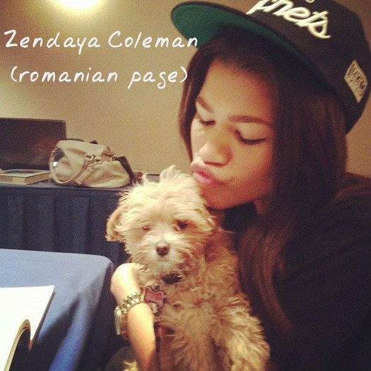 557638_246305685492578_430030788_n - poze cu zendaya