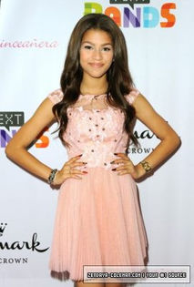 561784_253848331404980_707536922_n - poze cu zendaya