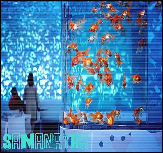 La Justin. . . :D In camera lui. . .