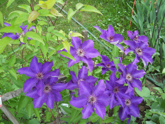 DSCN6573