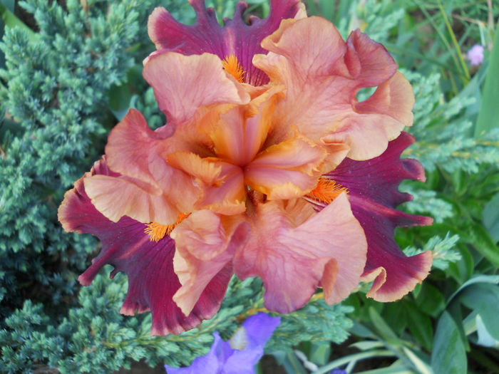 040