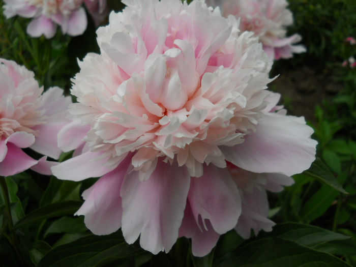 095