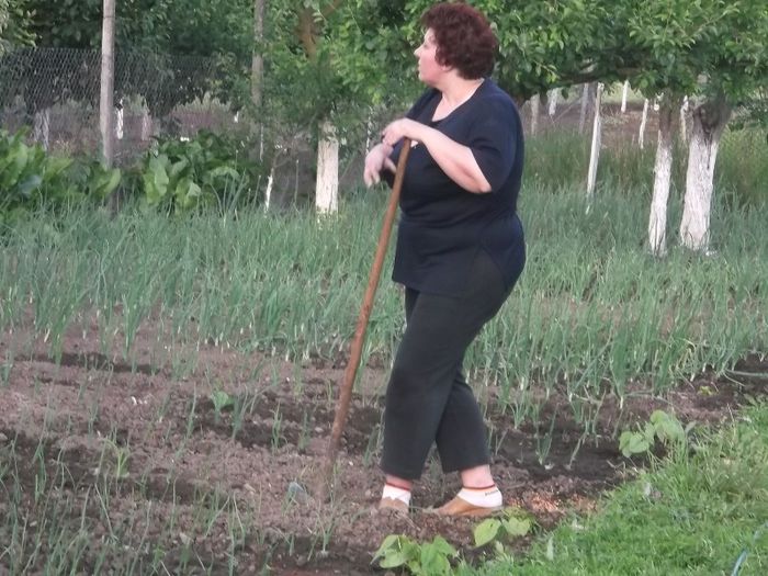 Picture 056 - ACASA LA TARA