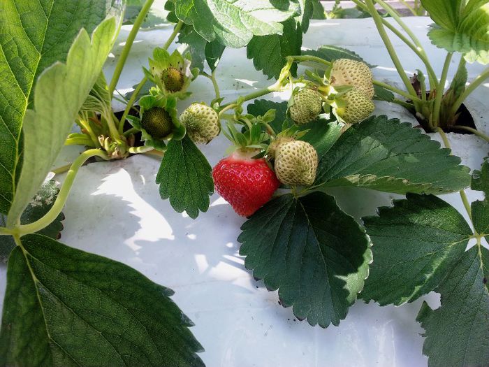 Elianny - 21.05.2013