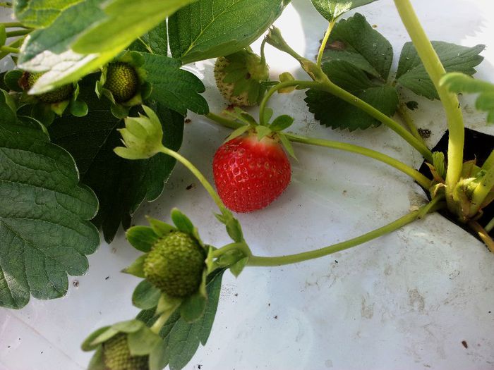 Elianny - 21.05.2013