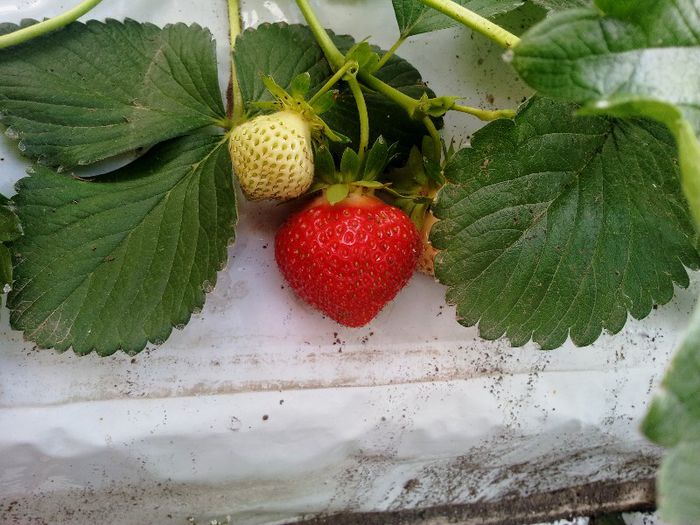 Elianny - 21.05.2013