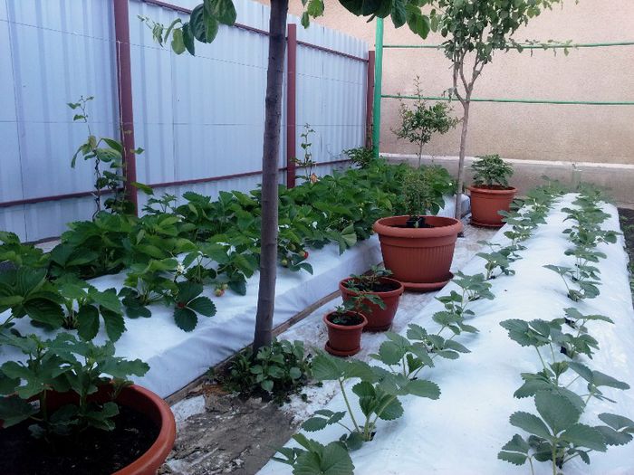 Elianny - 21.05.2013