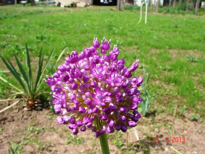 DSC00986