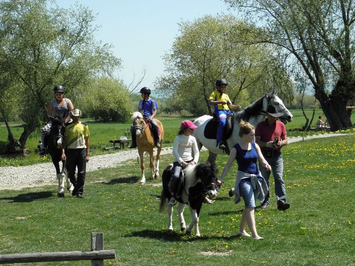 P5038339 - ECHITATIE 2013