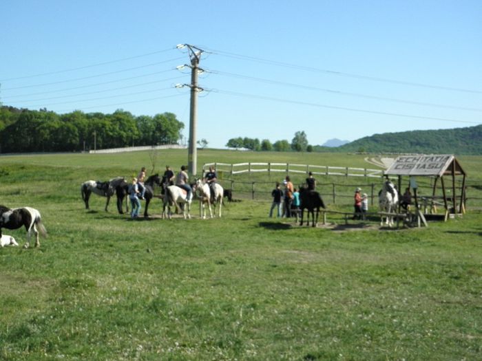 P5108438 - ECHITATIE 2013