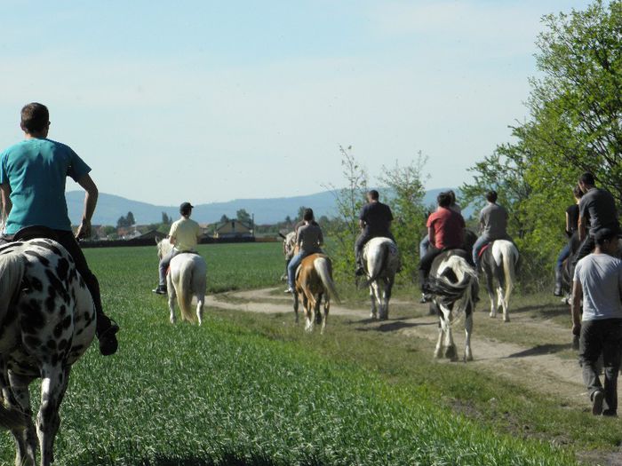 P5108443 - ECHITATIE 2013