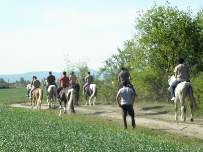 P5108444 - ECHITATIE 2013