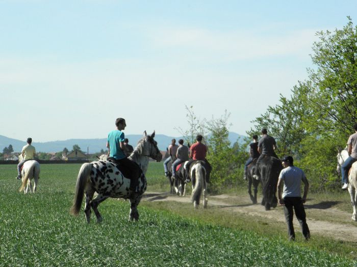 P5108445 - ECHITATIE 2013