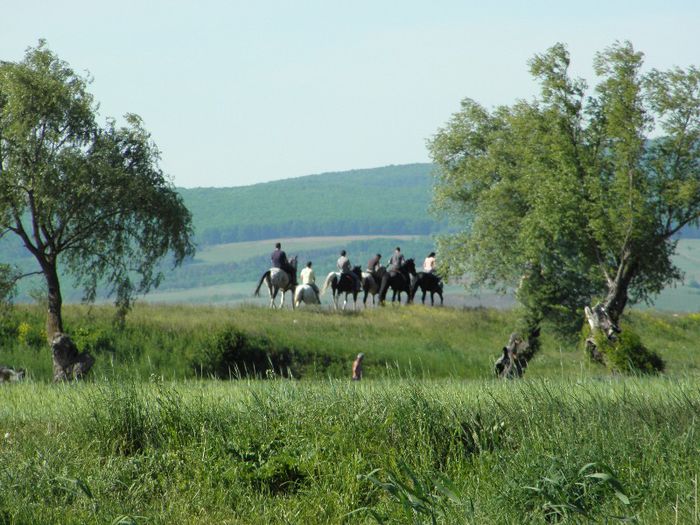 P5108448 - ECHITATIE 2013