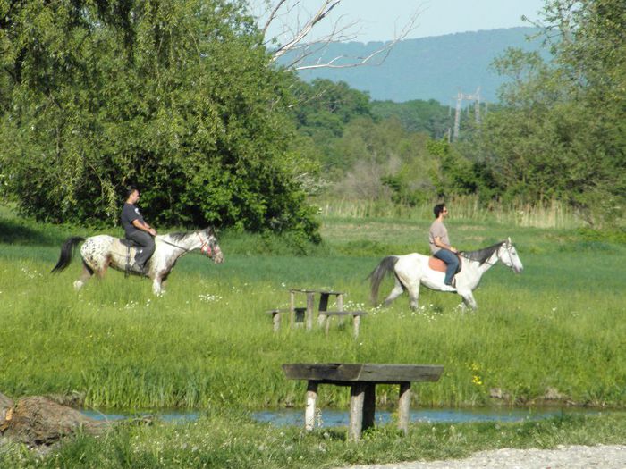P5108453 - ECHITATIE 2013
