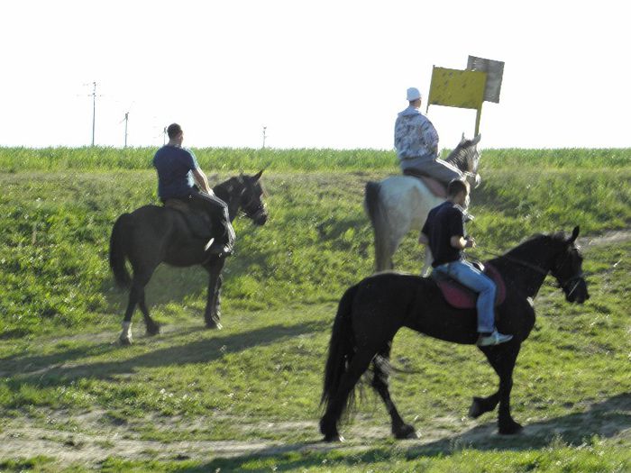 P5108461 - ECHITATIE 2013