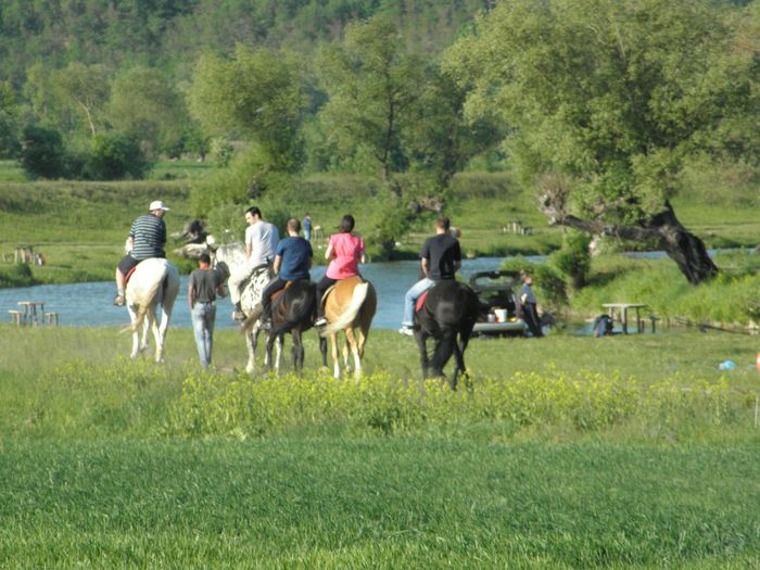 P5108468 - ECHITATIE 2013