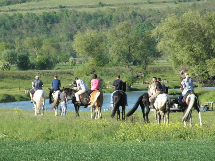 P5108470 - ECHITATIE 2013