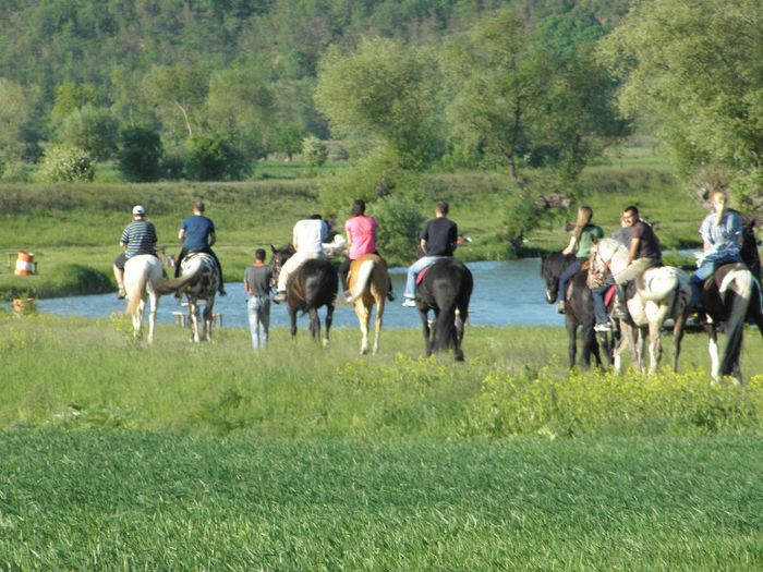 P5108471 - ECHITATIE 2013