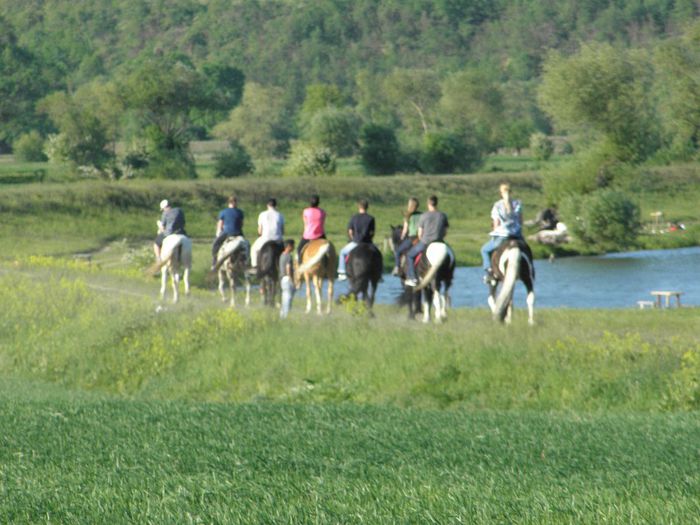 P5108474 - ECHITATIE 2013