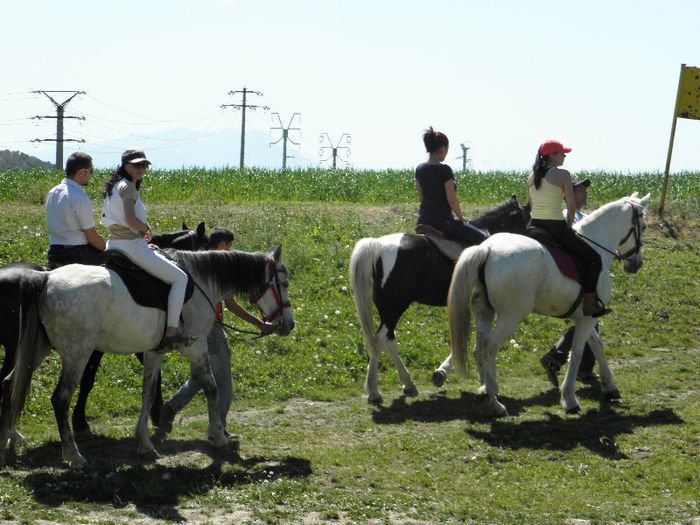 P5118481 - ECHITATIE 2013