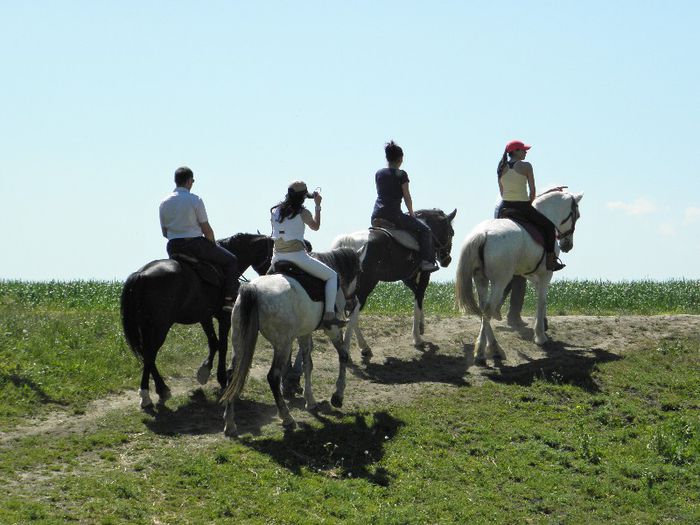 P5118482 - ECHITATIE 2013