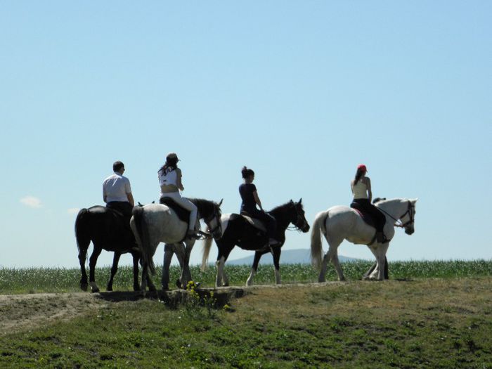 P5118483 - ECHITATIE 2013
