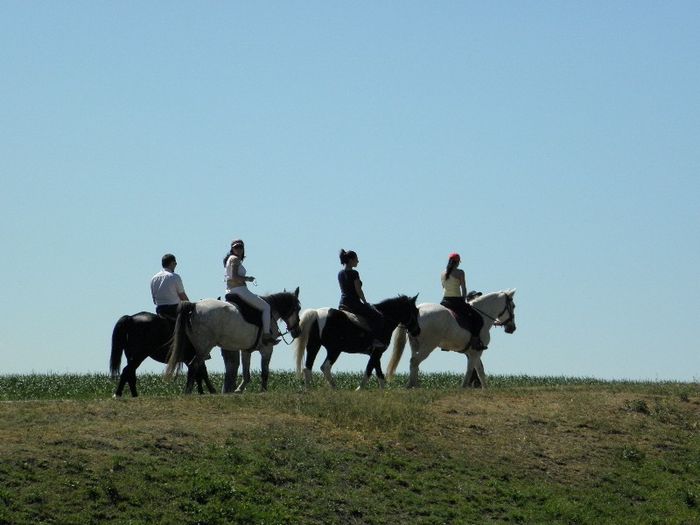 P5118484 - ECHITATIE 2013
